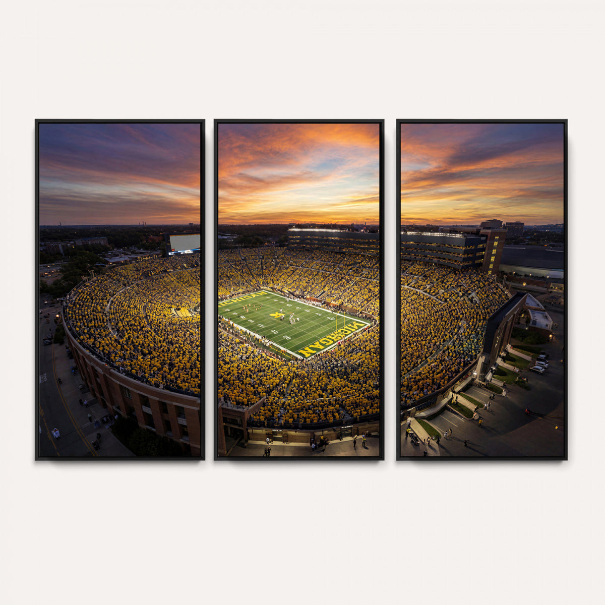 64902586-MGV-CV-36X24 - Stadium Wall Art Canvas Print