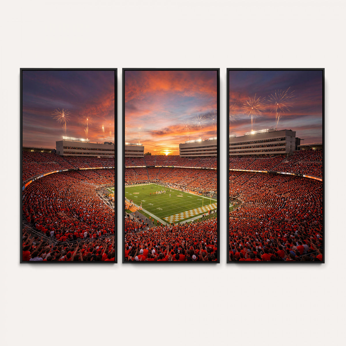 66964685-MGV-CV-36X24 - Stadium Wall Art Canvas Print