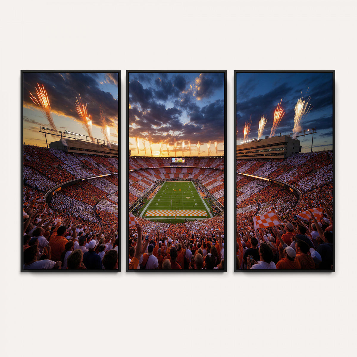29672818-MGV-CV-36X24 - Stadium Wall Art Canvas Print