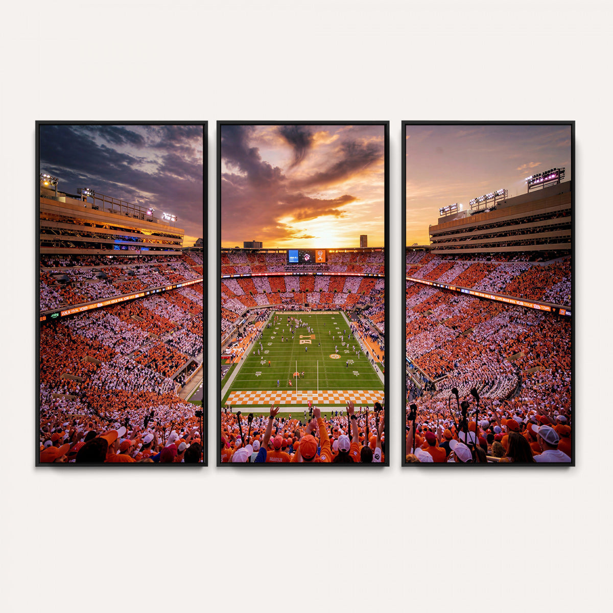 68184875-MGV-CV-36X24 - Stadium Wall Art Canvas Print