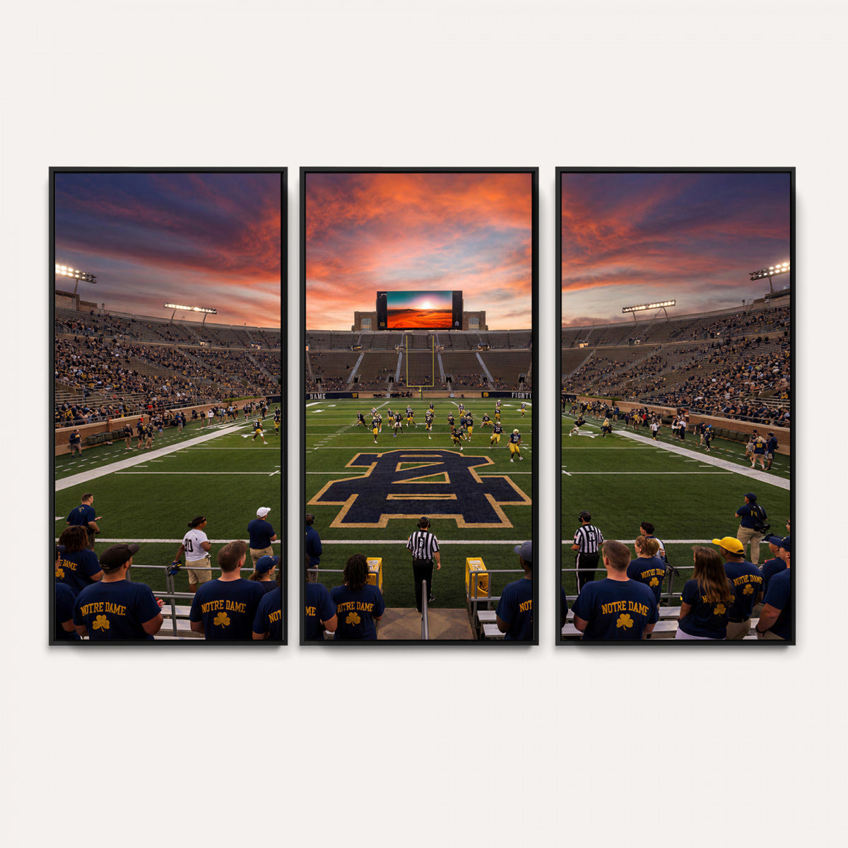 75411323-MGV-CV-36X24 - Stadium Wall Art Canvas Print