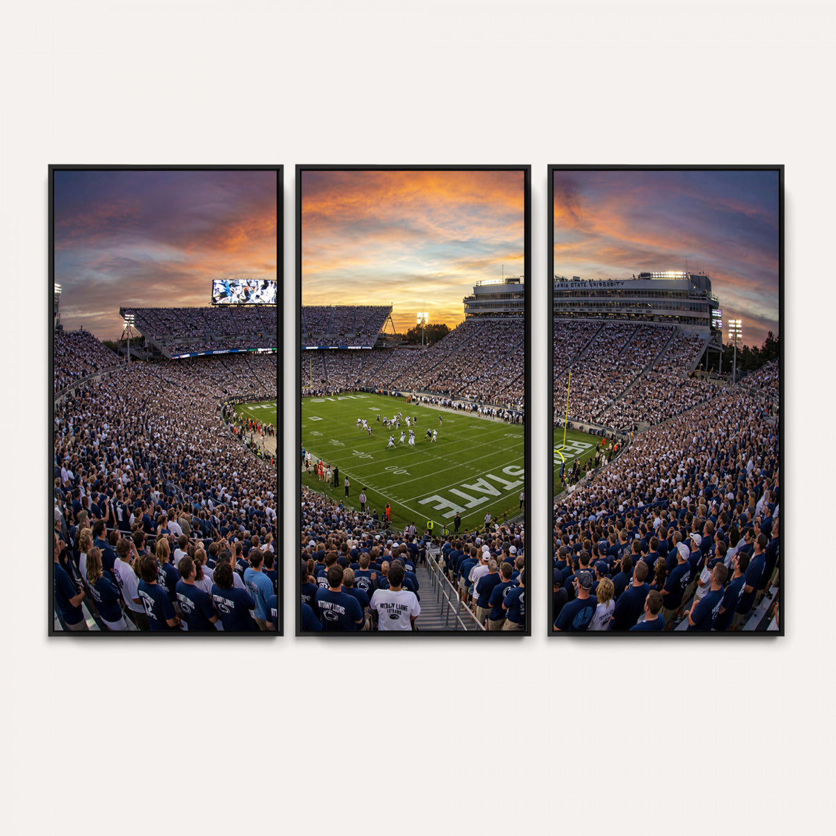 29008668-MGV-CV-36X24 - Stadium Wall Art Canvas Print