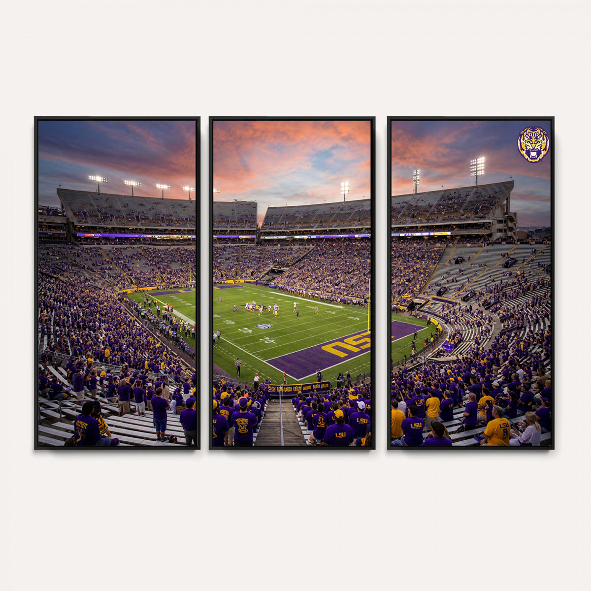 20281385-MGV-CV-36X24 - Stadium Wall Art Canvas Print