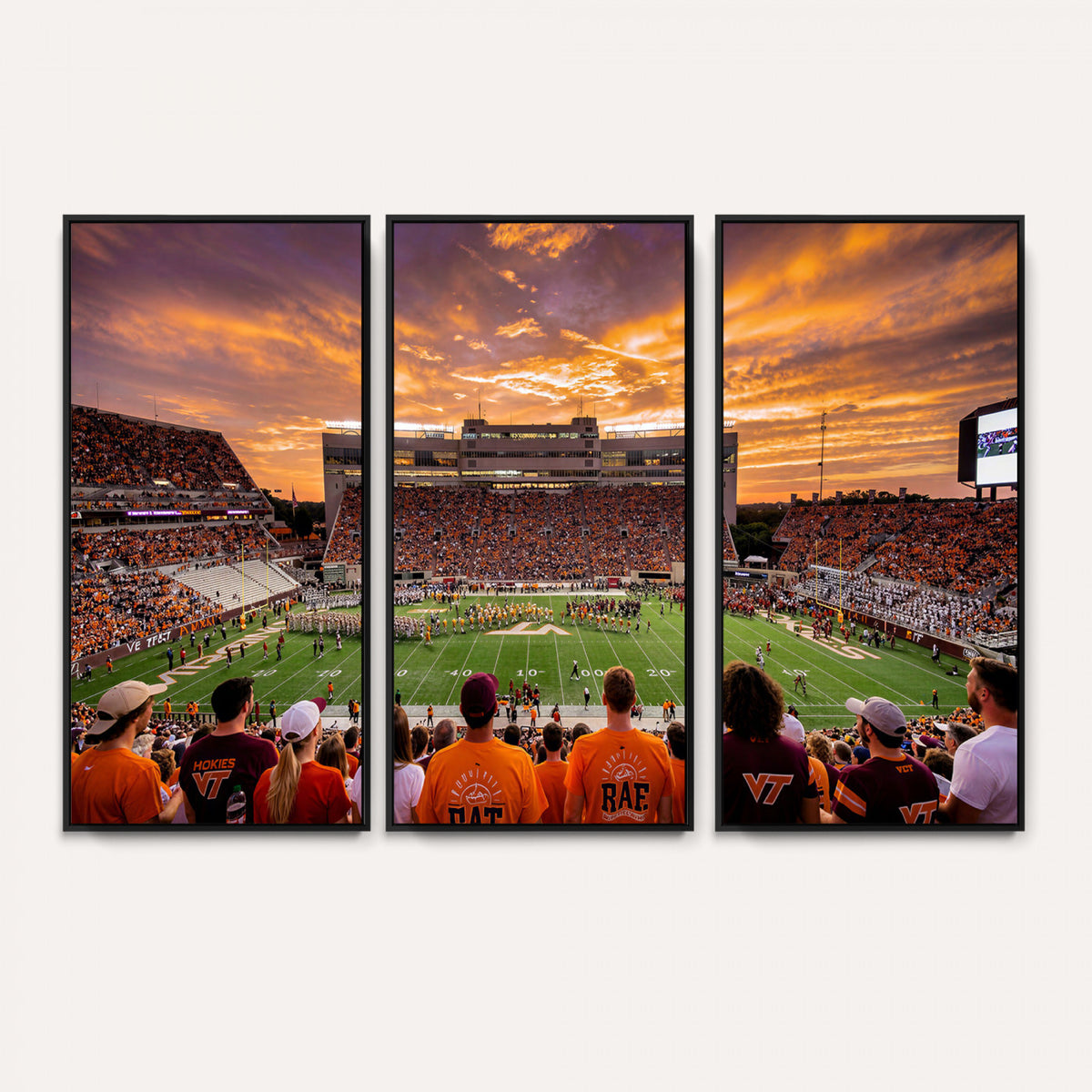 25873880-MGV-CV-36X24 - Stadium Wall Art Canvas Print