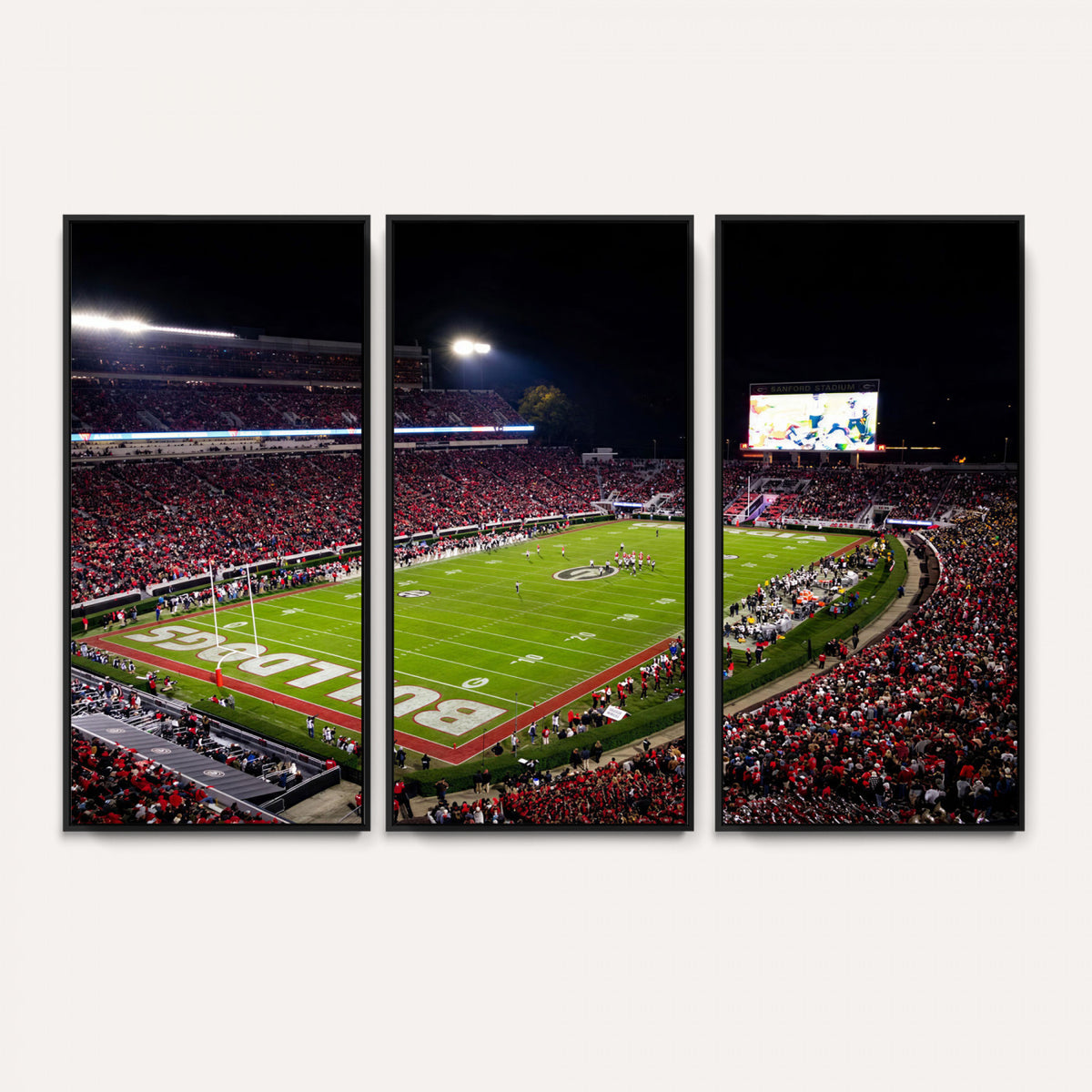 73520603-_Poster-30x20 - Georgia Bulldogs Sanford Stadium Canvas Print 3 Piece Framed Wall Art Extra Large Floating Frame Nature Poster Made in USA