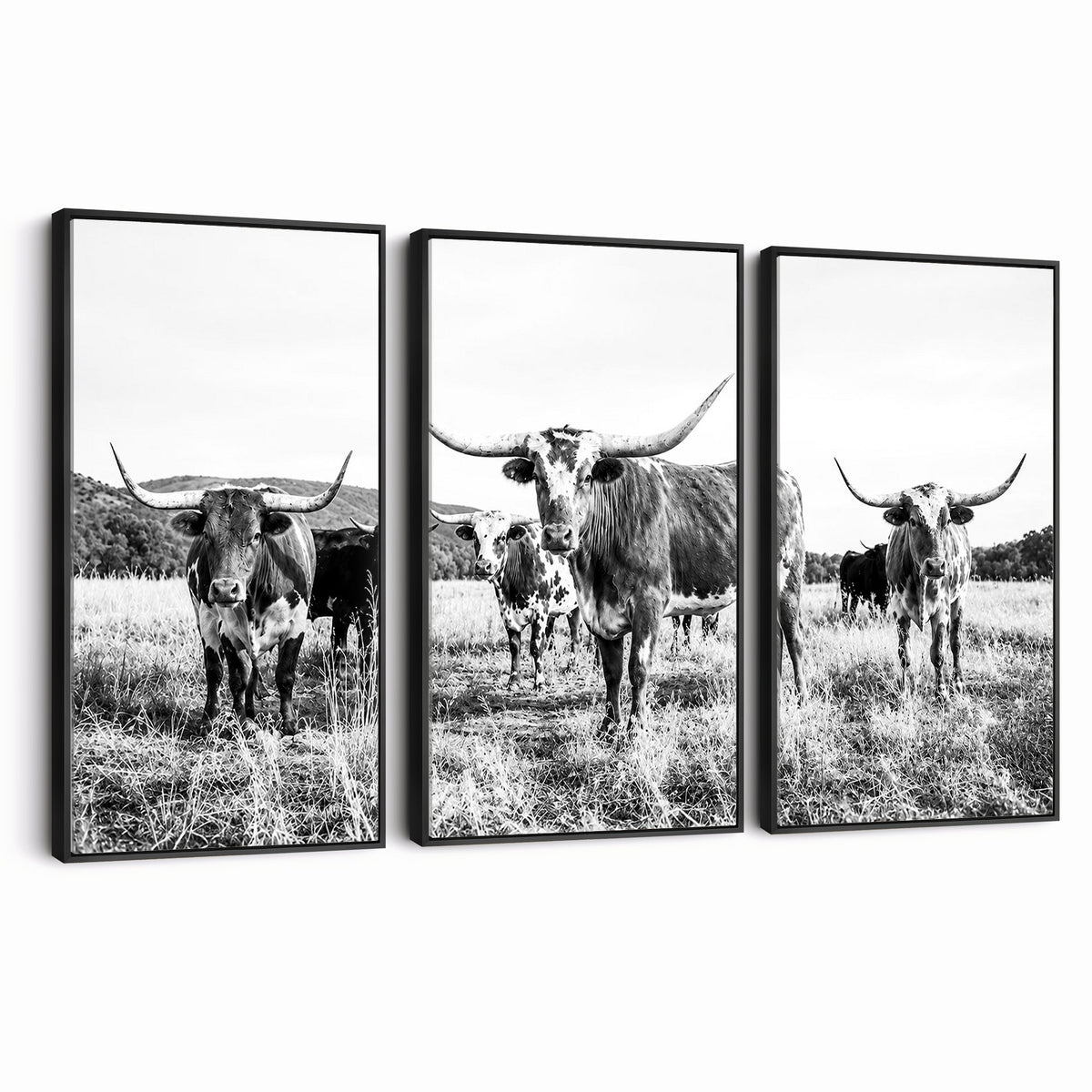73228277-MGV-CV-48X32-3P - Black and White Longhorn Cattle Canvas Print, Western Ranch Wall Decor