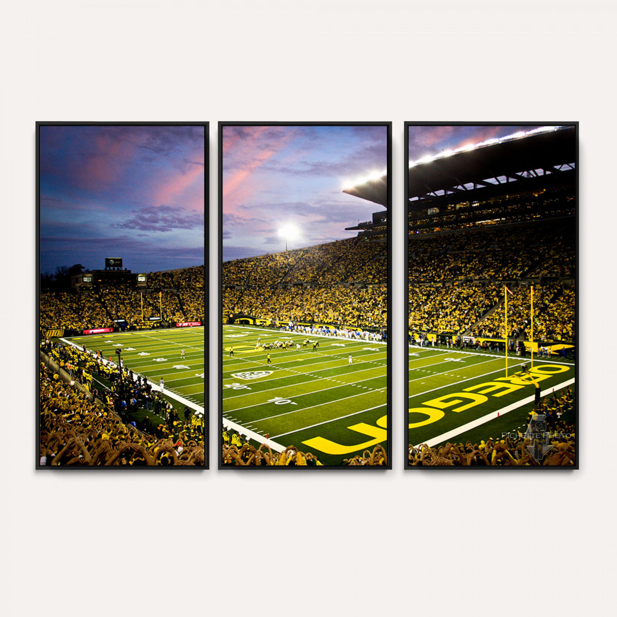 72017-MGV-CV-36X24 - University of Oregon Ducks Football Team Print, Eugene, Framed and Ready to Hang