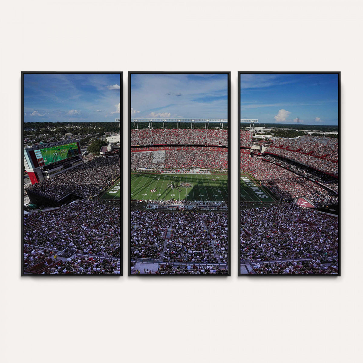 83382-MGV-CV-36X24 - South Carolina Gamecocks Football Team Print, Columbia Williams-Brice Stadium Wall Art