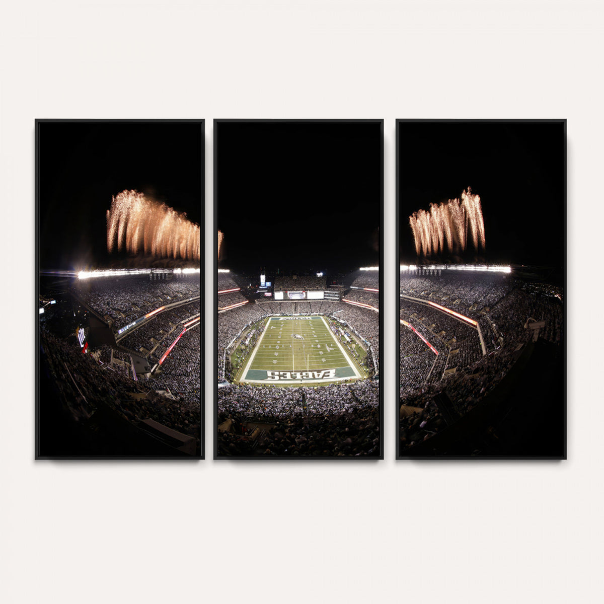 48893-MGV-CV-36X24 - Eagles Field Stadium Wall Art, Lincoln Financial Field