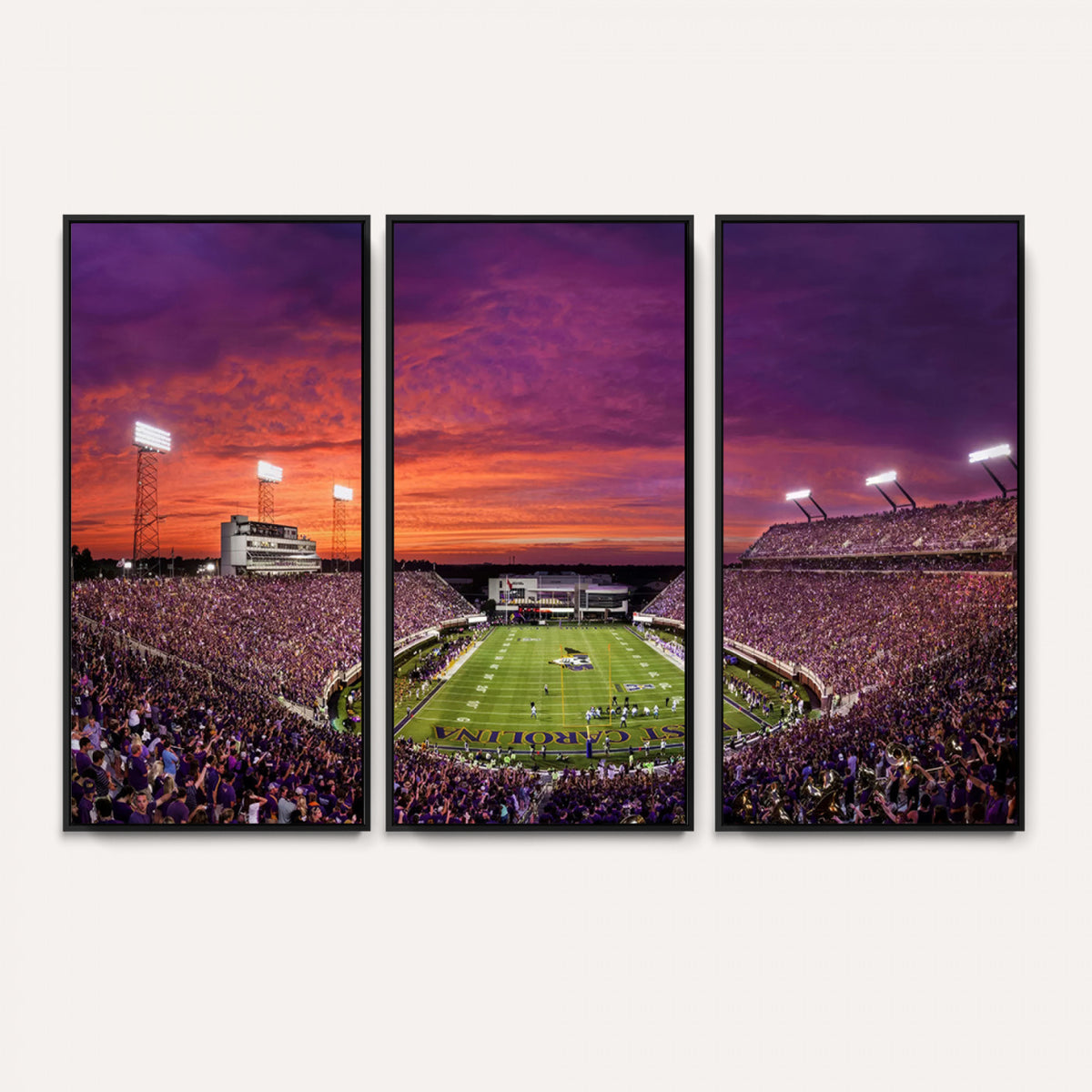 88575-MGV-CV-36X24 - East Carolina University Pirates Football Print Canvas- Greenville Dowdy-Ficklen Stadium Wall Art