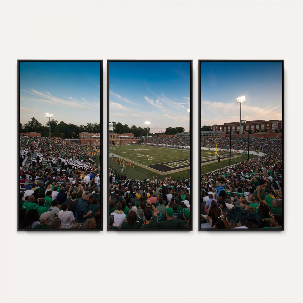 12290-MGV-CV-36X24 - University of Charlotte 49ers Football Team Print - Charlotte Jerry Richardson Stadium Wall Art