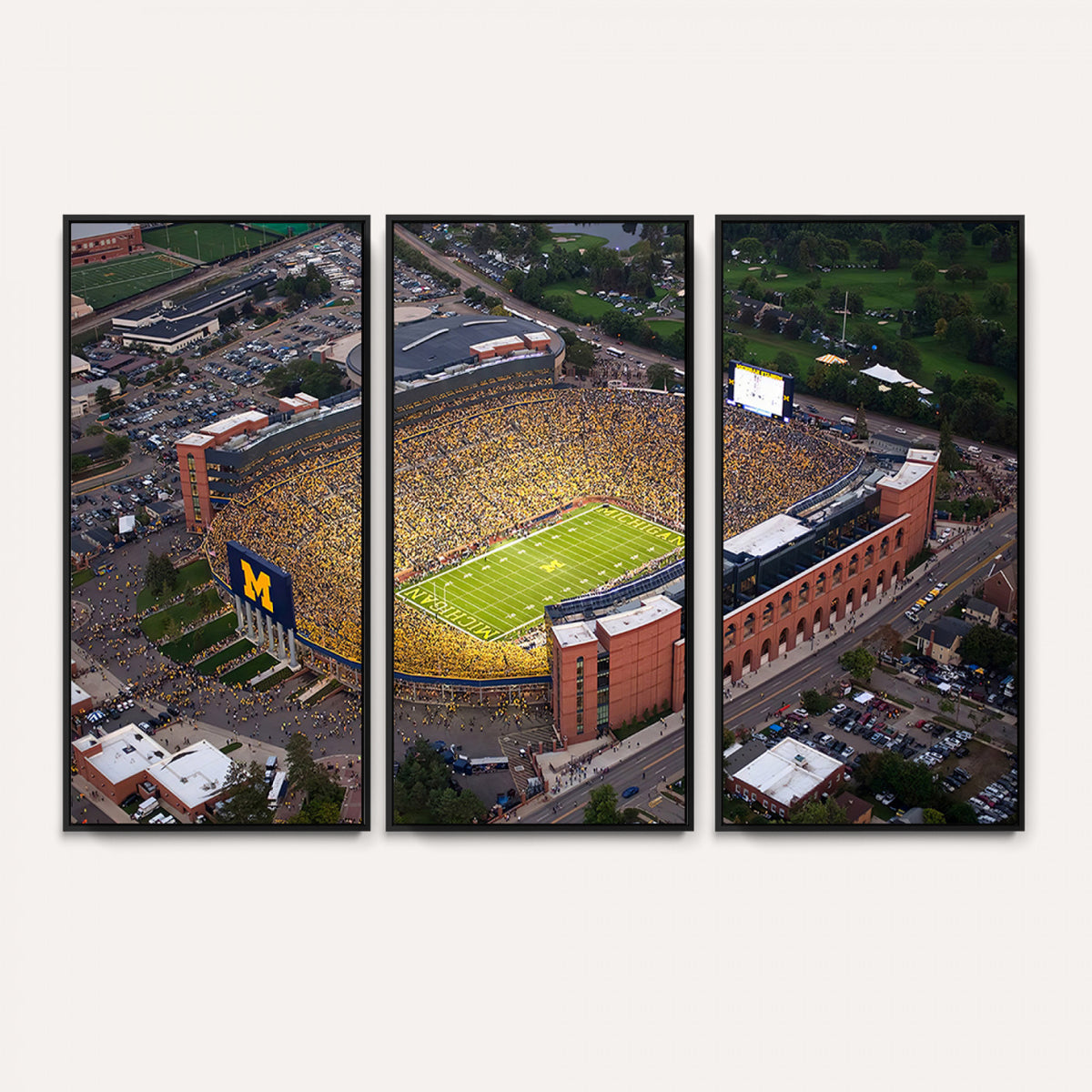 95248-PAN-FL-20X10 - University of Michigan Wolverines Football Team Print - Ann Arbor Michigan Stadium Wall Art Canvas