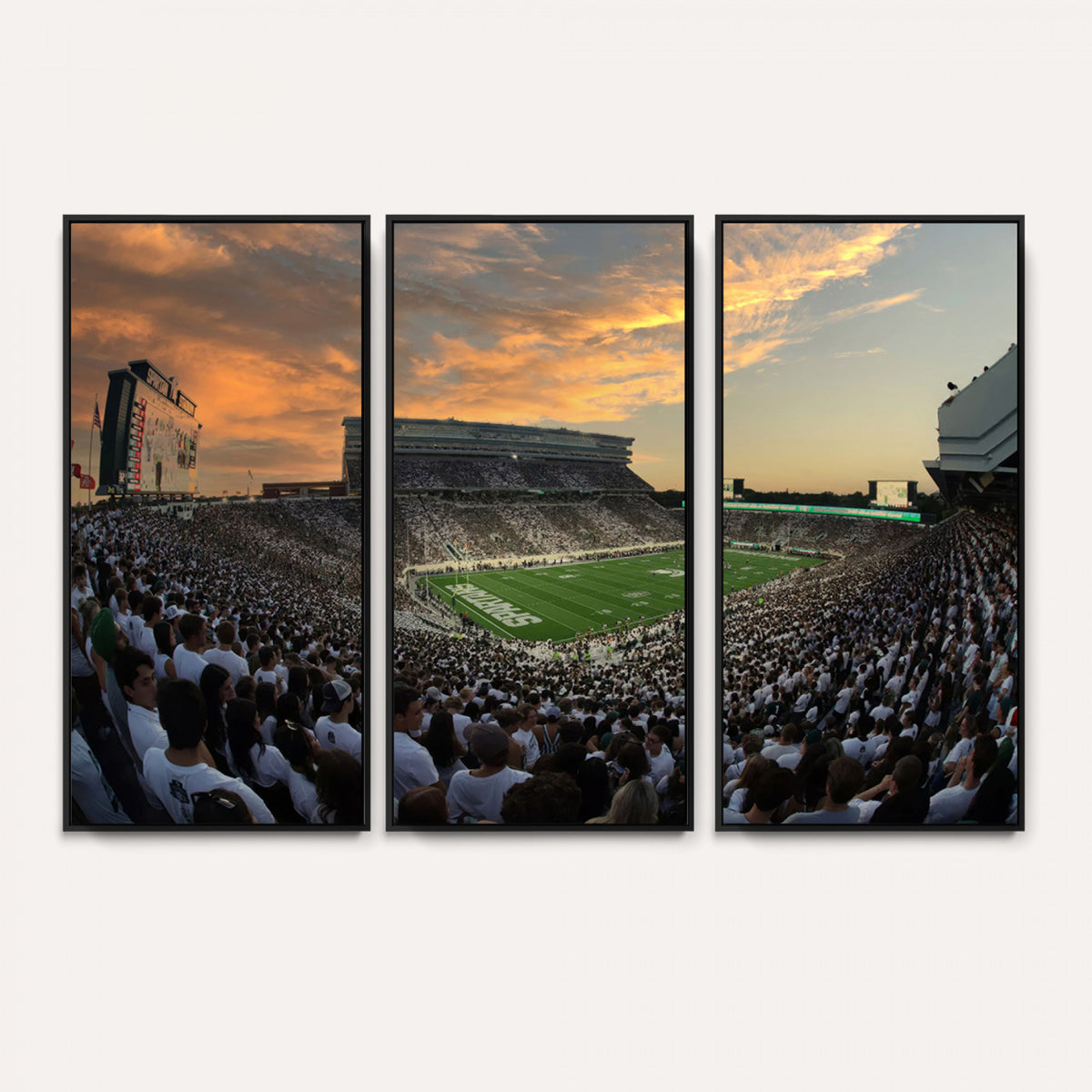 99155-PAN-FL-20X10 - Michigan State Spartans Football Team Print - East Lansing Spartan Stadium Wall Art Canvas Print