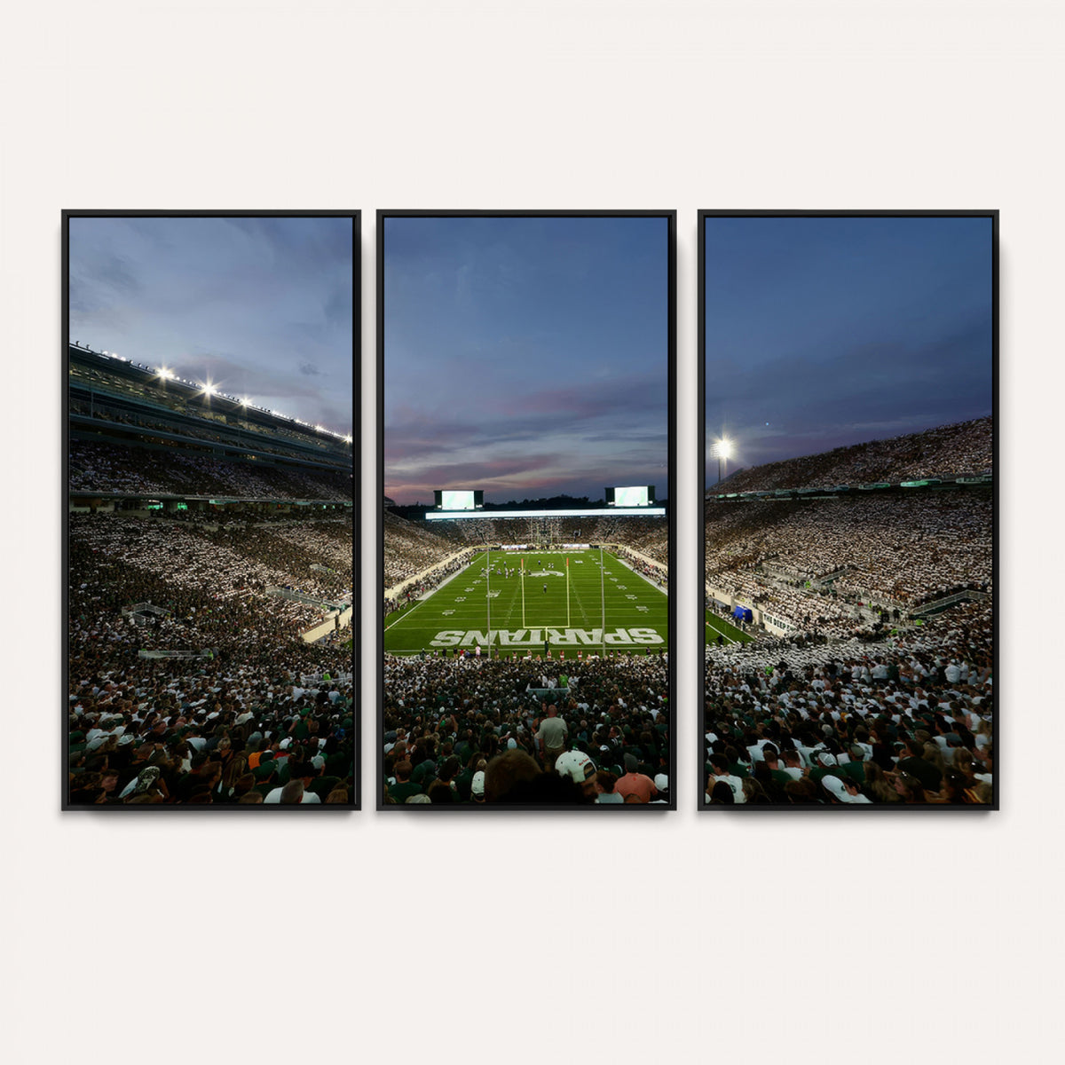 90831-PAN-FL-20X10 - Michigan State Spartans Football Team Print - East Lansing Spartan Stadium Canvas Print