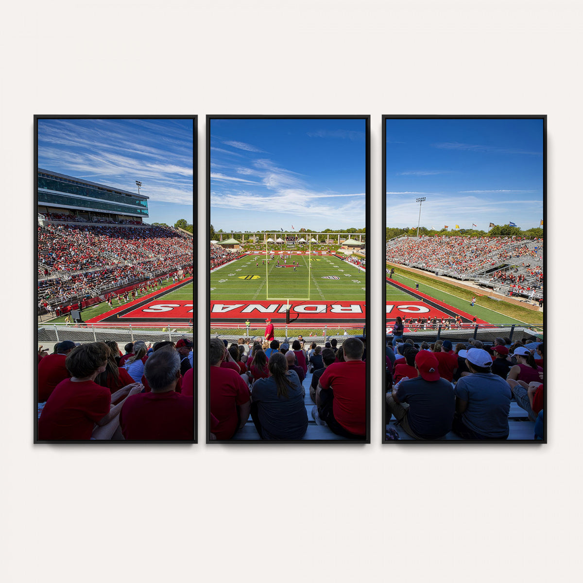 71475-PAN-FL-20X10 - Ball State Cardinals Football Team Print - Muncie Scheumann Stadium Wall Art Canvas Print