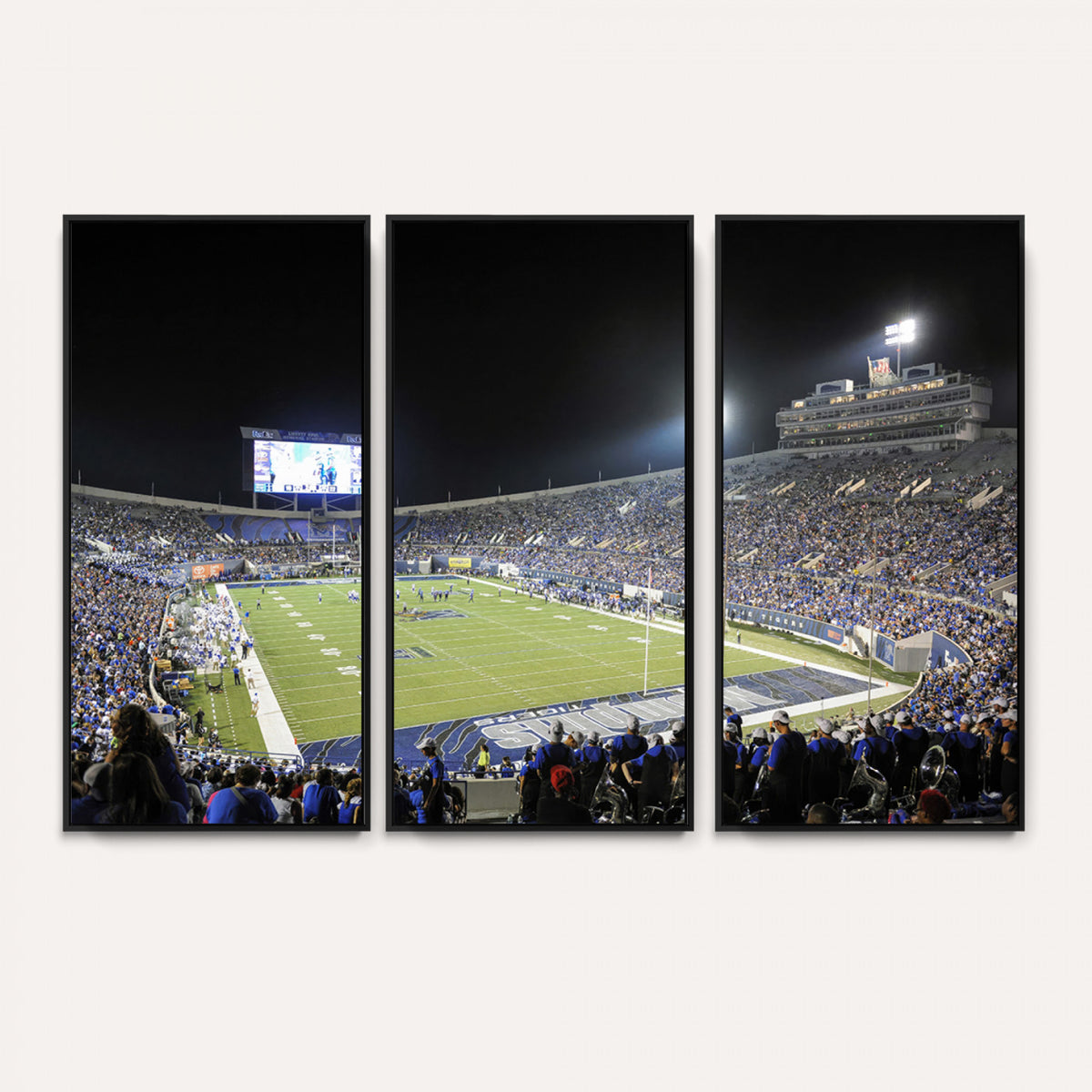 10894-PAN-FL-20X10 - University of Memphis Tigers Football Team Print - Memphis Simmons Bank Liberty Stadium Wall Art