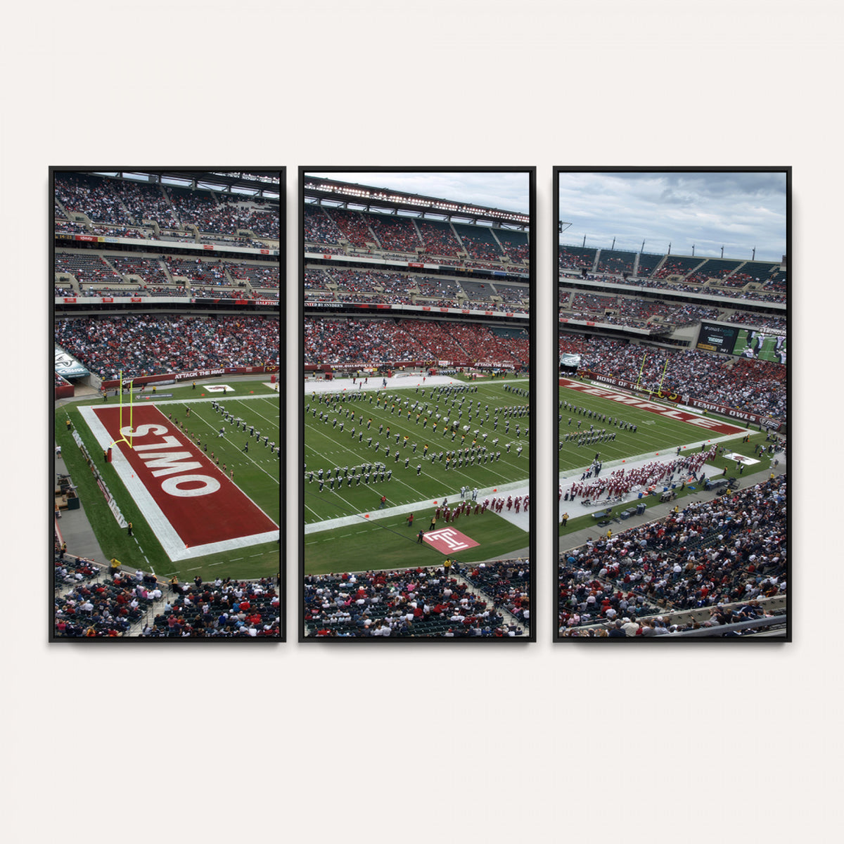 15310-PAN-FL-20X10 - The Temple University Owls Athletics Team Print - Philadelphia Lincoln Financial Field Stadium Wall