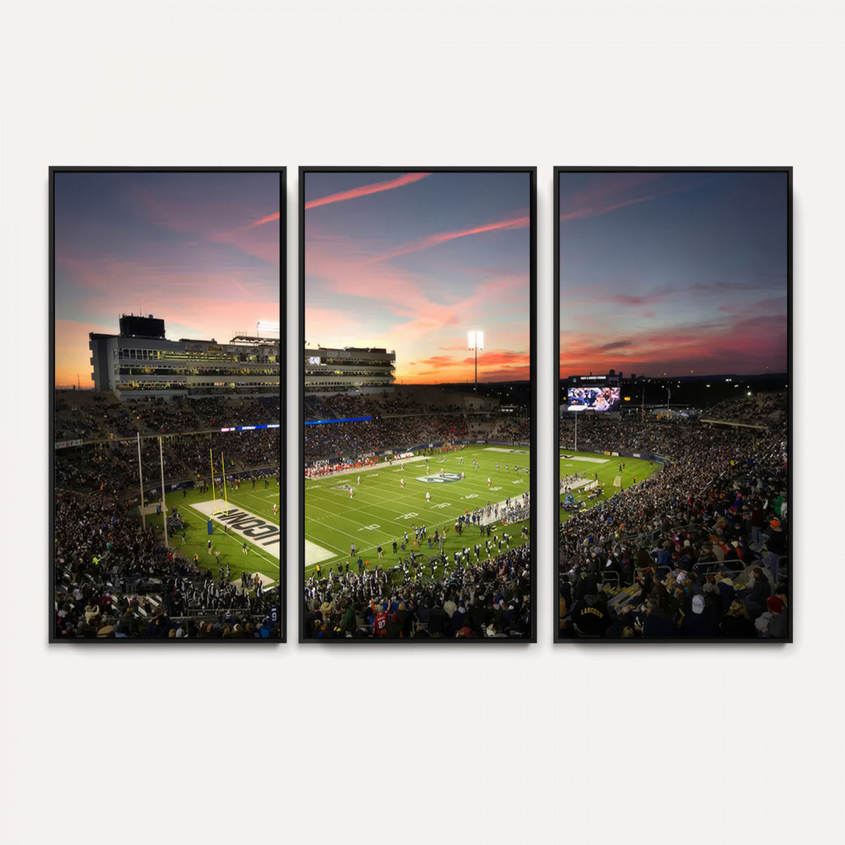 64416-MGV-CV-36X24 - The University of Connecticut UCONN Huskies Football Team Print, Framed and Ready to Hang