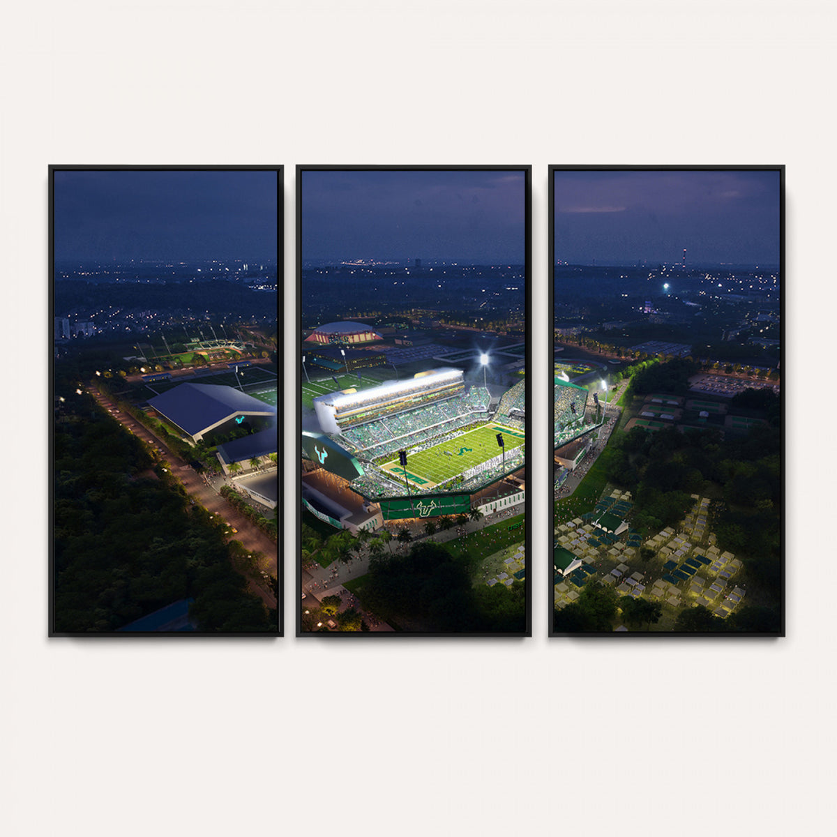 27554-MGV-CV-36X24 - The University of South Florida Bulls Football Team Print