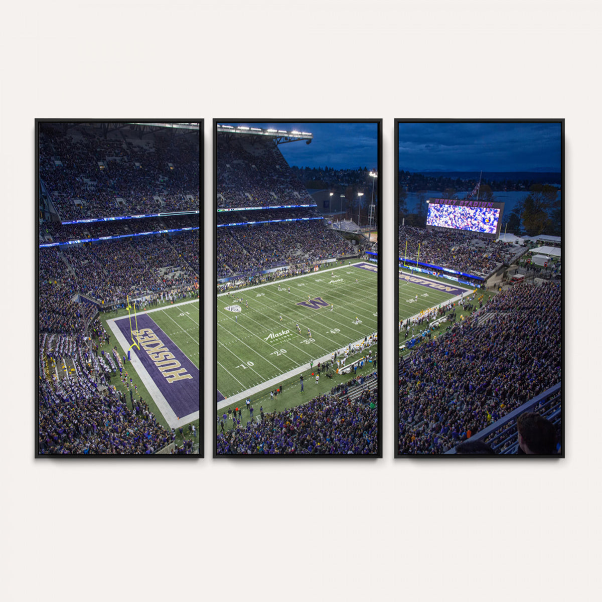 84780-MGV-CV-36X24 - The University of Washington Huskies Football Team Print, Framed and Ready to Hang