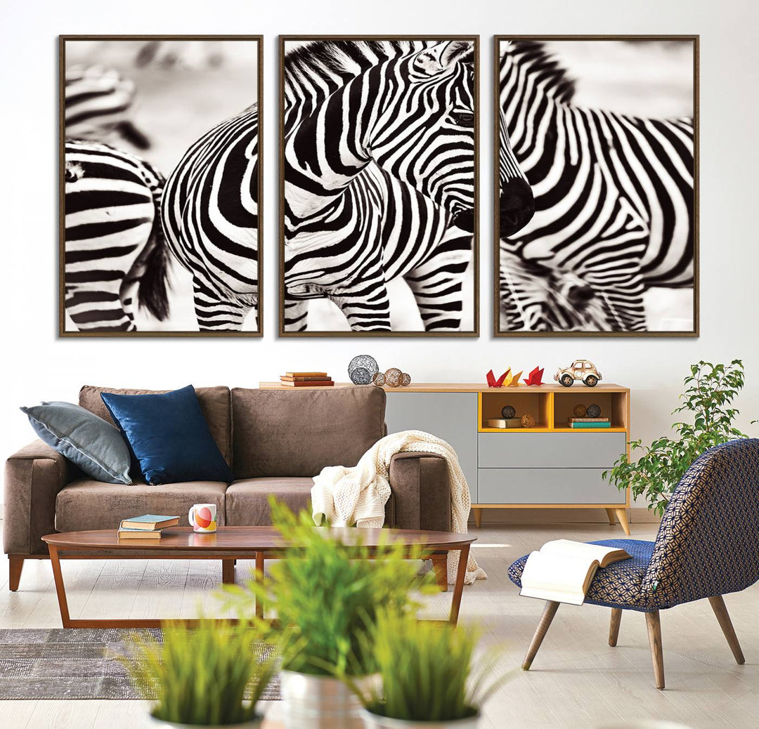 The Brilliant Zebra Photography Art Canvas Print hangs prominently on the wall.