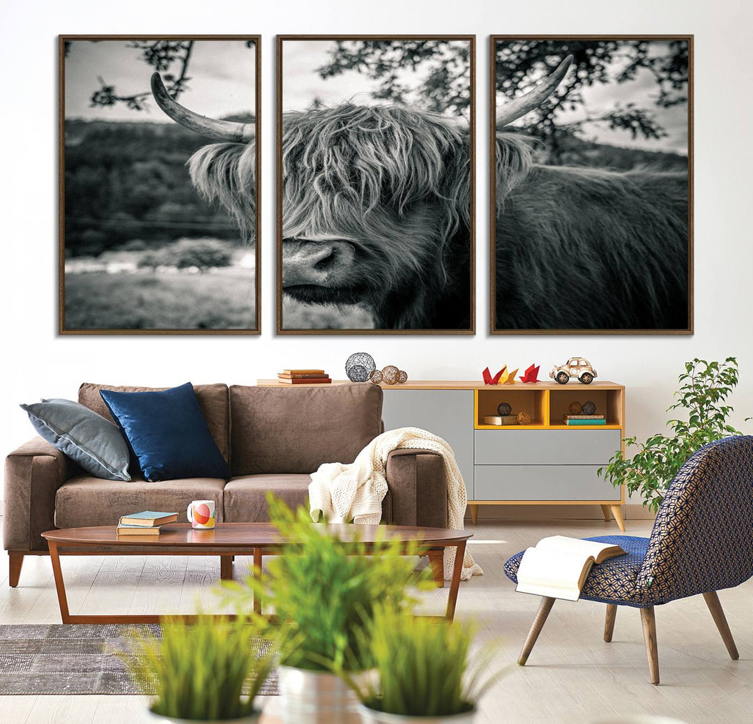 The Highland Cow Wall Art Canvas Print is displayed.