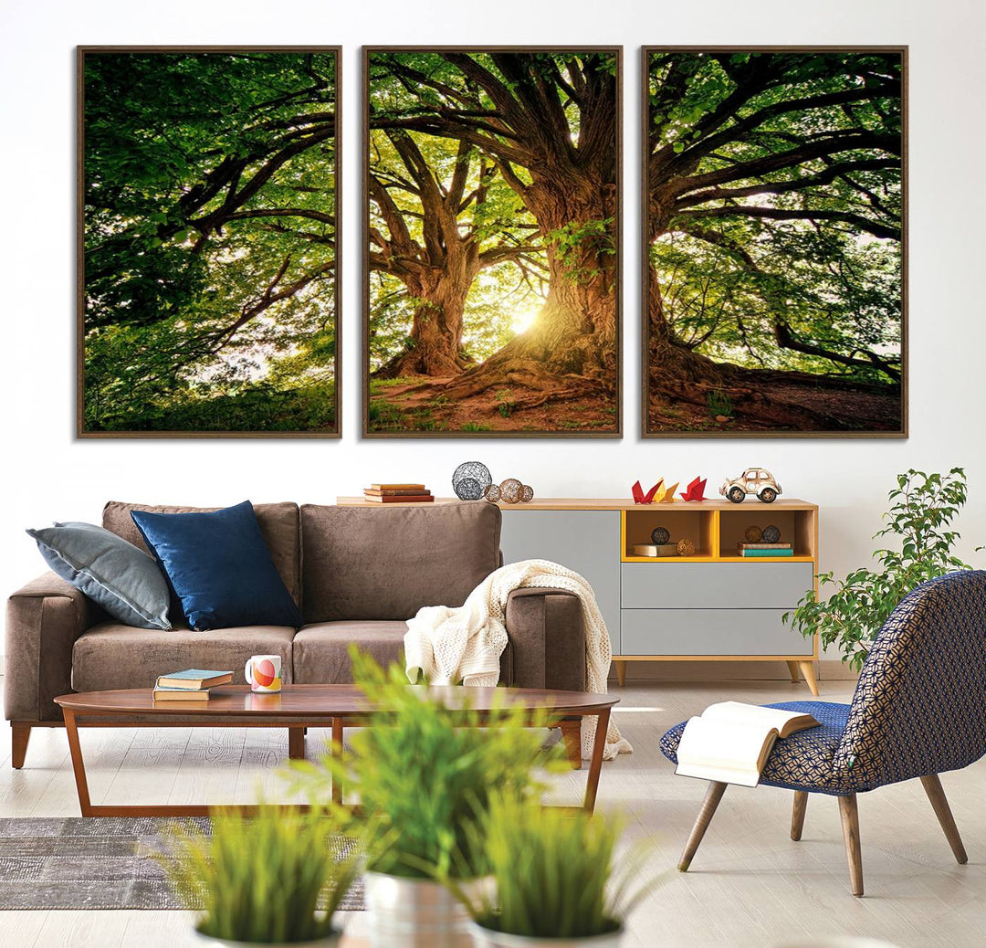 Majestic Ancient Tree Wall Art is illuminated by sunlit forest rays.