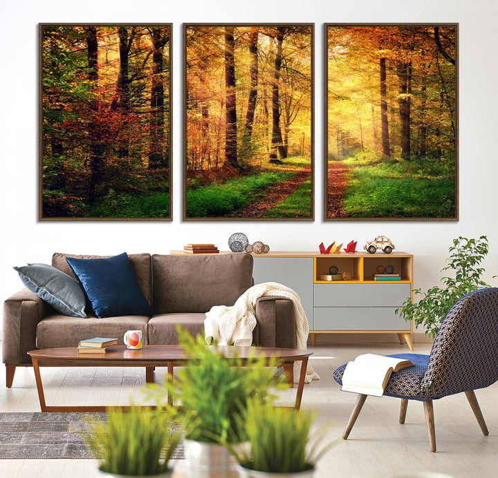 The Sunlight Through Trees Wall Art Canvas Print showcases a sunlit autumn forest and includes UV protection to ensure lasting vibrance.