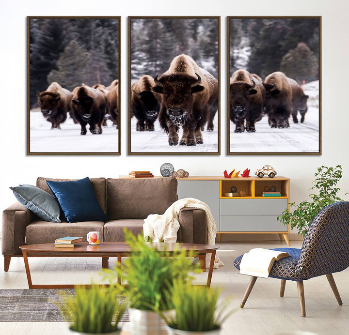 Bison Herd Canvas Wall Art.