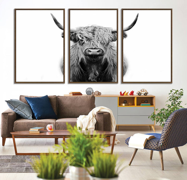 Highland Cow Canvas hanging prominently.