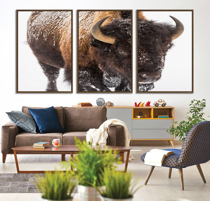 Bison Wall Art Canvas.