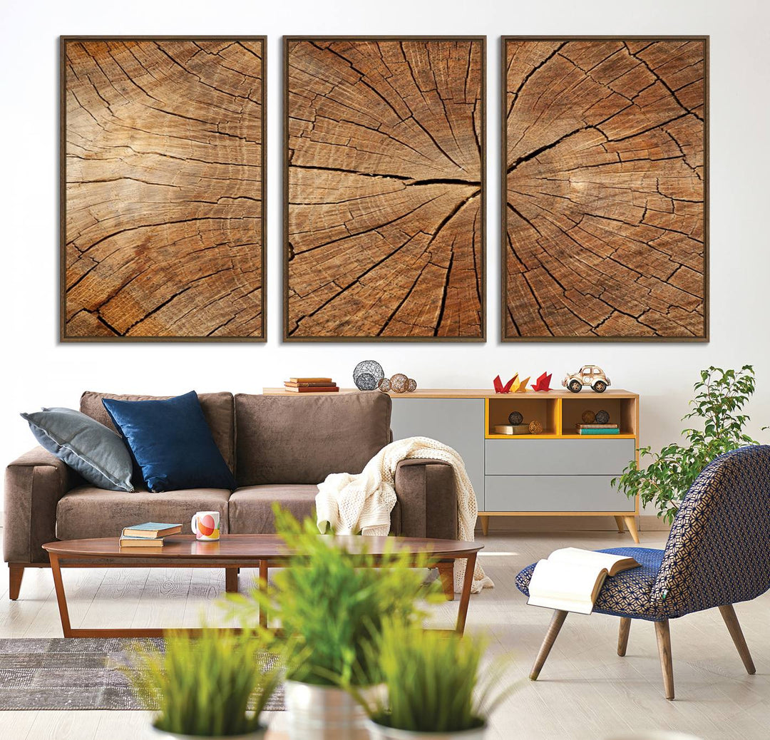 Tree Ring Canvas Art decorates a textured wall.