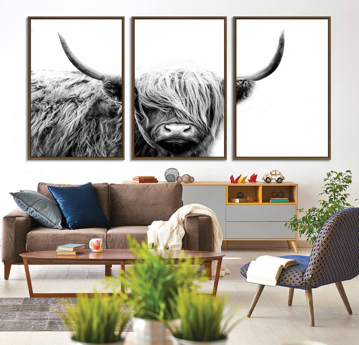 Framed Black and White Scottish Highland Cow Art Print.