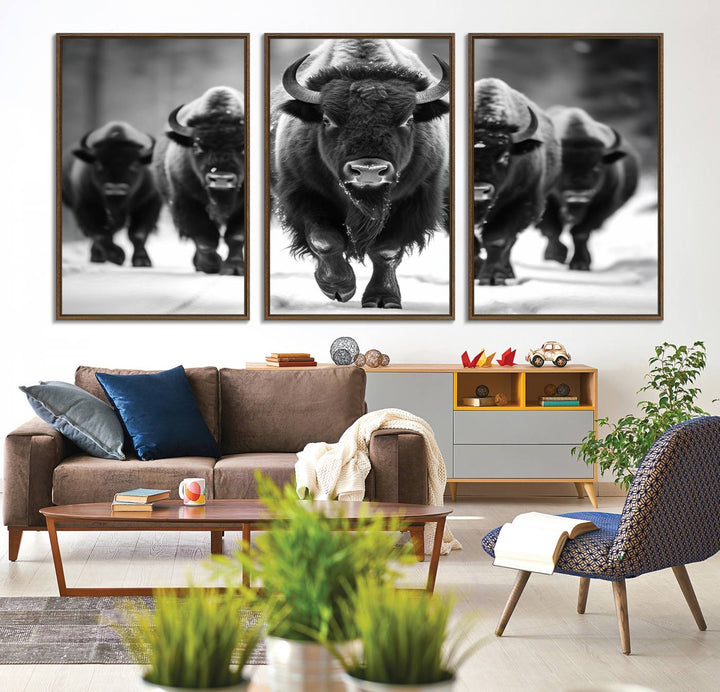 A black and white American Bison herd canvas print adorns the wall.