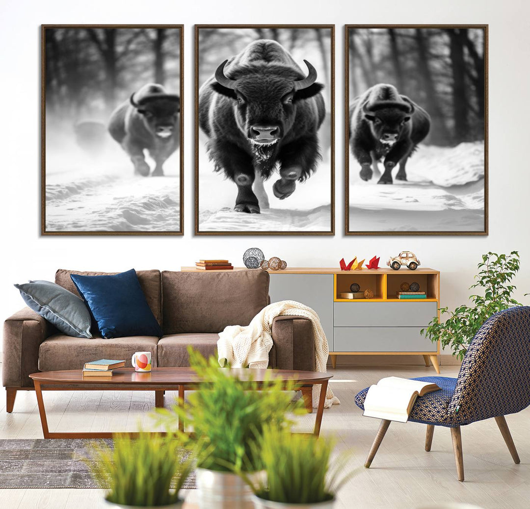 The Buffalo Wall Art Canvas Print of bison running through snow adorns the wall.