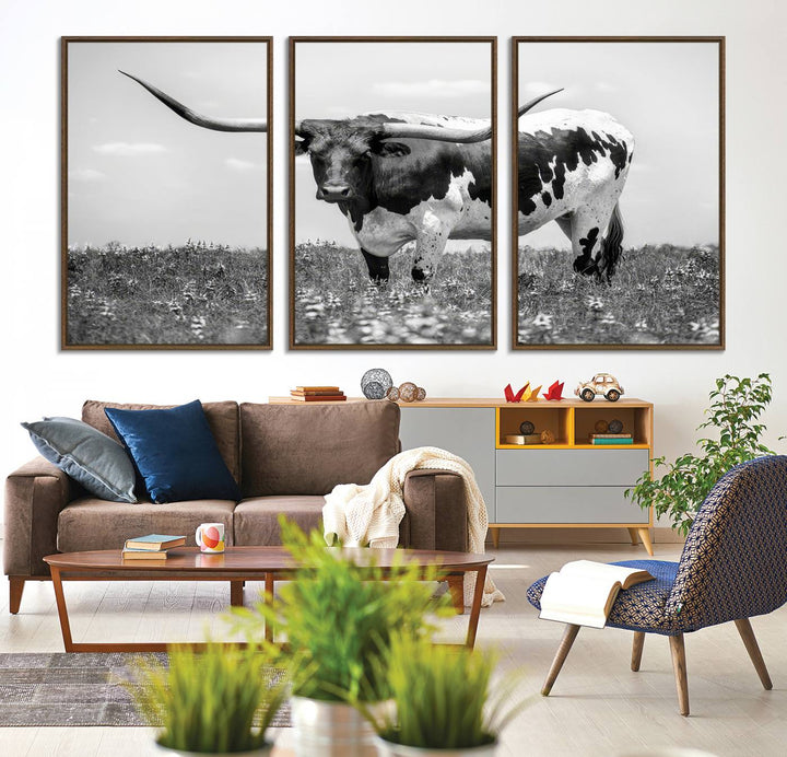 Texas Black White Highland Longhorn Cow Wall Art Canvas displayed on the wall.