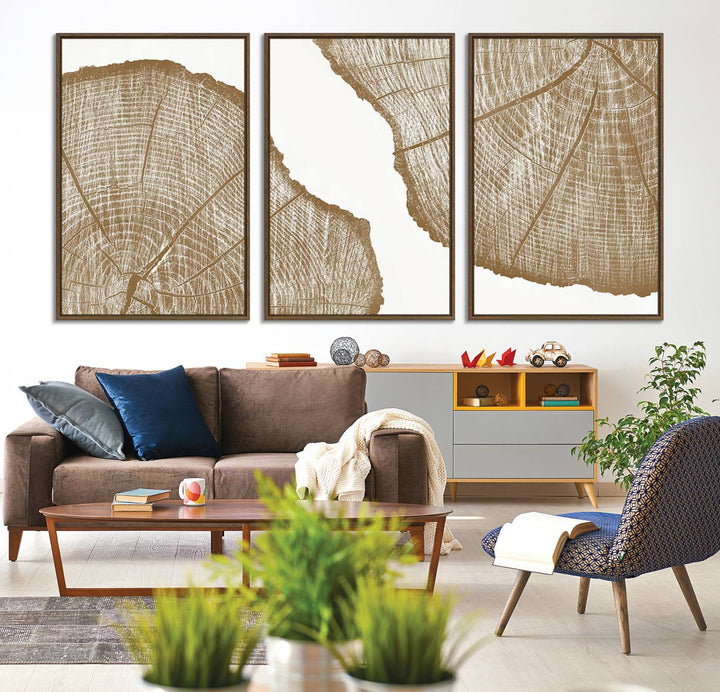 The rustic wall art features two large tree rings, beautifully framed and displayed to create a nature-inspired décor.