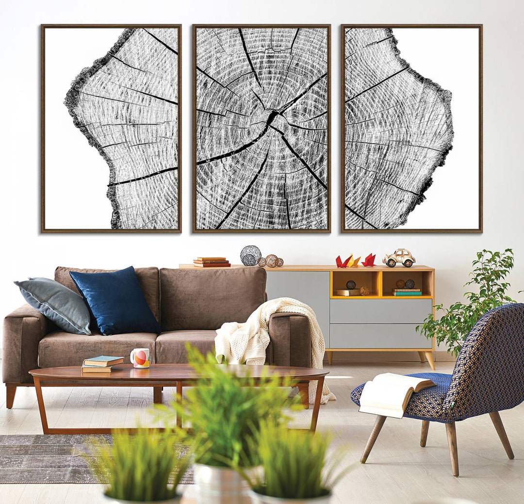 Black and white tree ring art print.