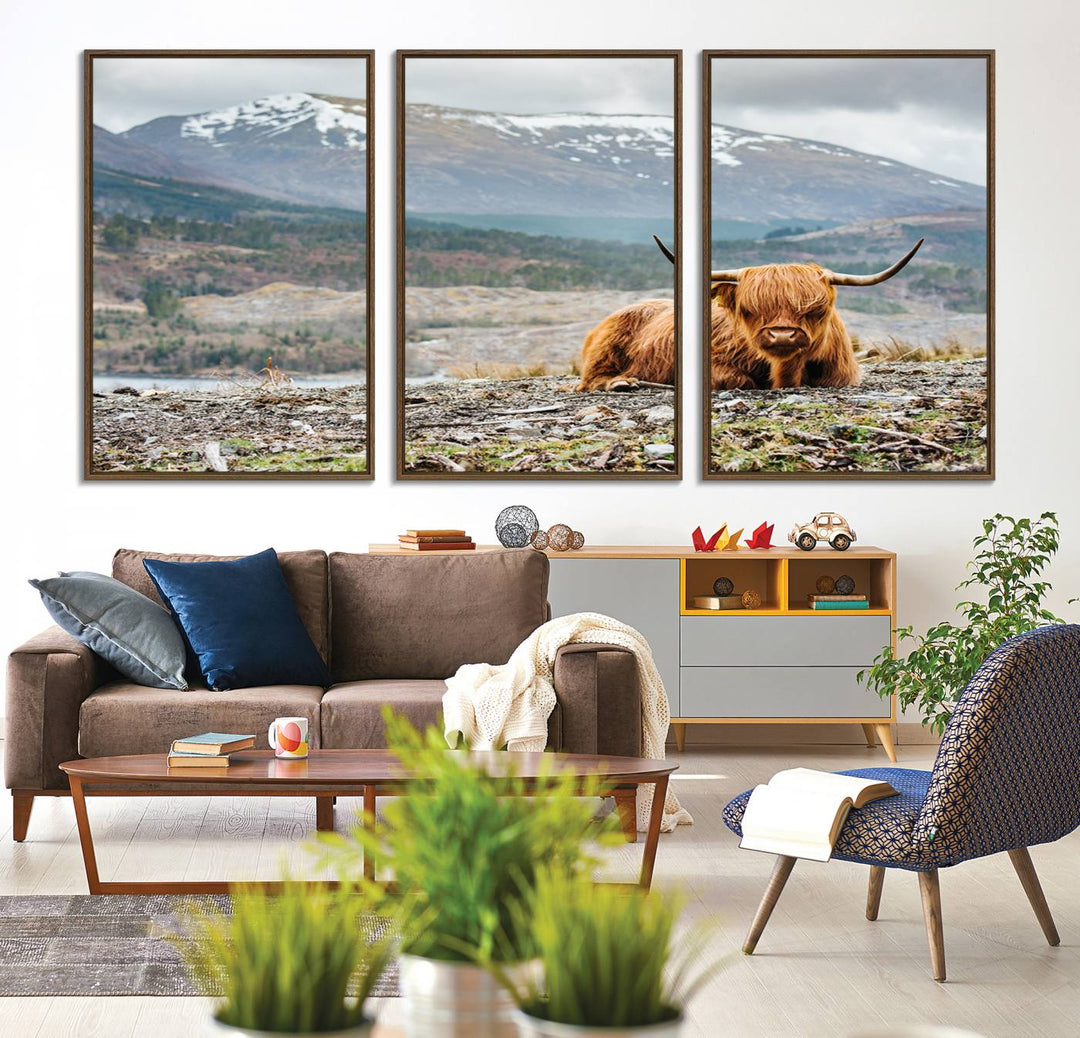 Highland Cow Horn Farm Wall Art Canvas Print is displayed against a wooden wall featuring a mountainous backdrop.