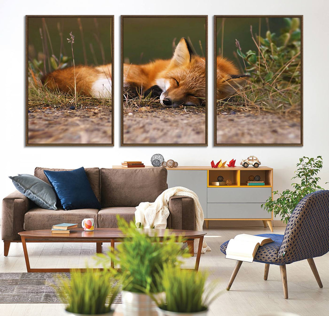 The Sleeping Fox Wall Art Canvas Print is ideal for farmhouse decor.