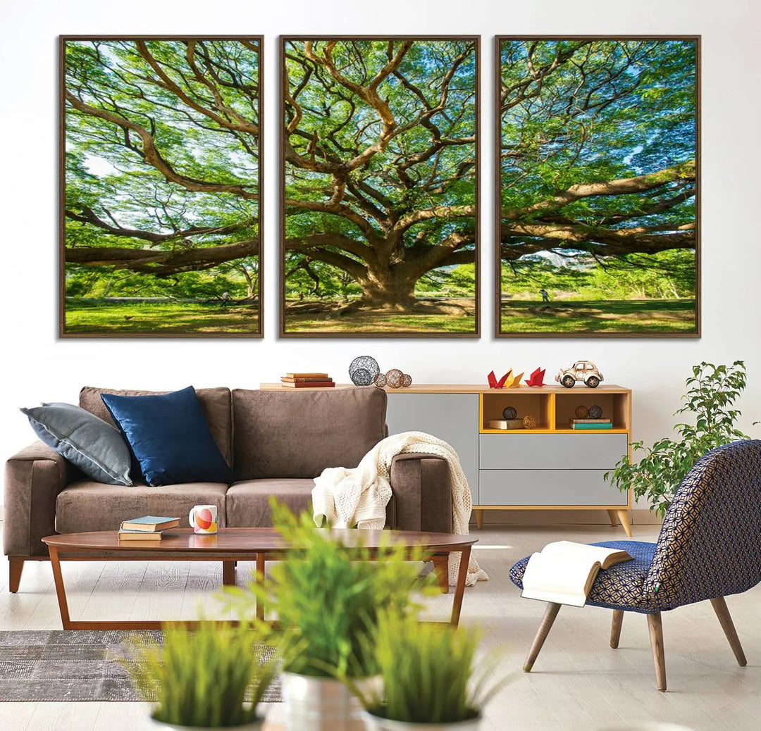 The Angel Oak Tree Wall Art, a multi-panel canvas print showcasing a large tree with sprawling branches and green leaves in a style reminiscent of the majestic Angel Oak Tree, elegantly adorns the wooden wall in the living room.