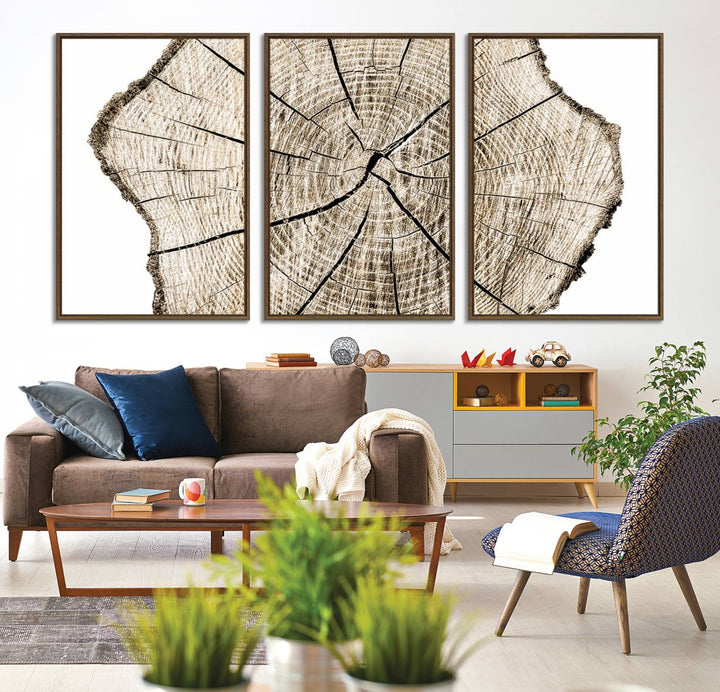 The Abstract Wood Tree Ring Wall Art set of 3 adds a minimalist touch to the space.