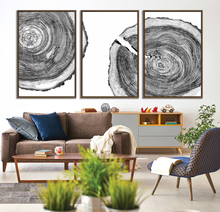 The modern black and white tree rings canvas art adds minimalist geometric decor with nature inspiration.