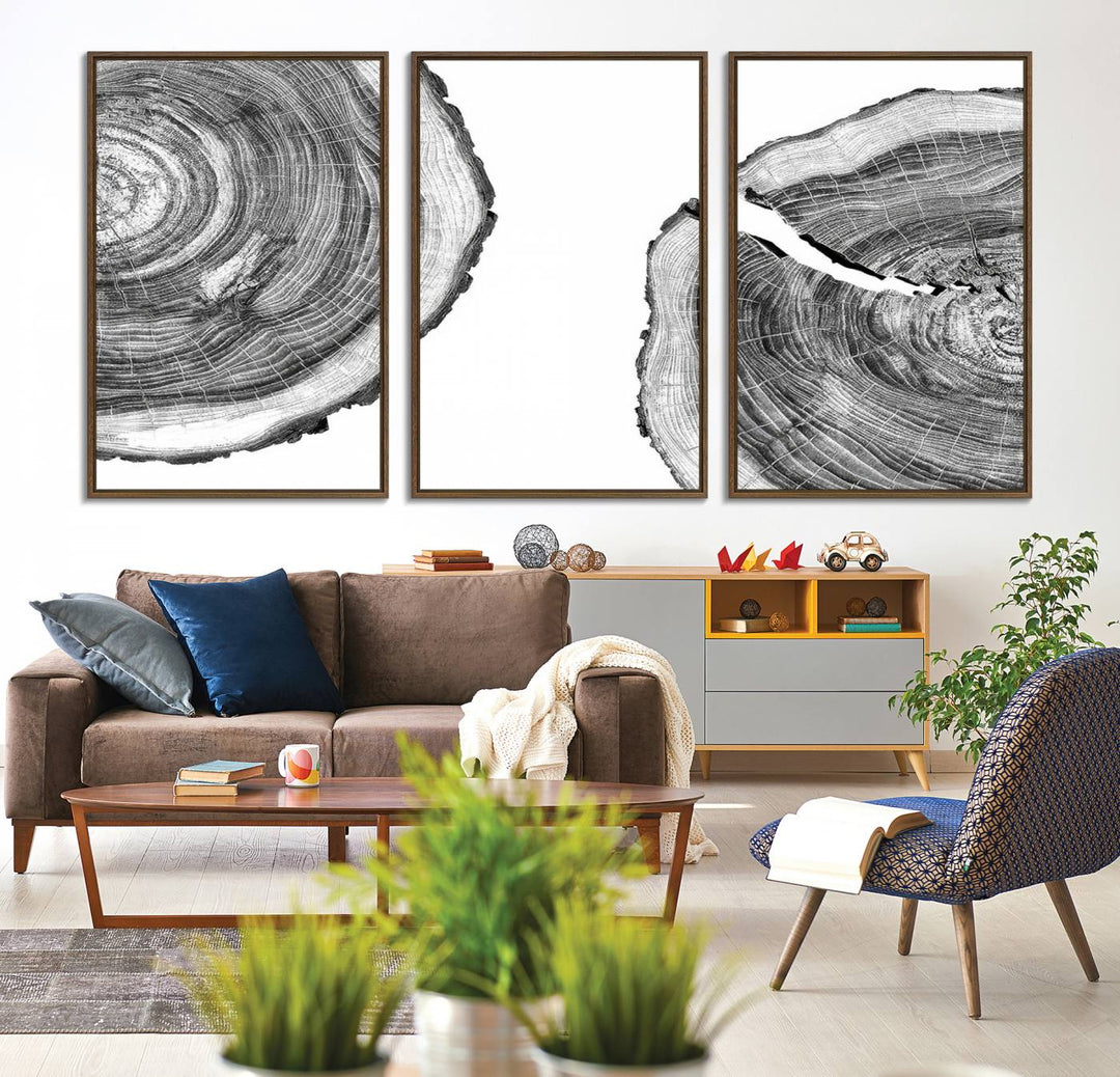 The minimalist art piece Abstract Large Tree Rings on canvas creates a striking focal point.