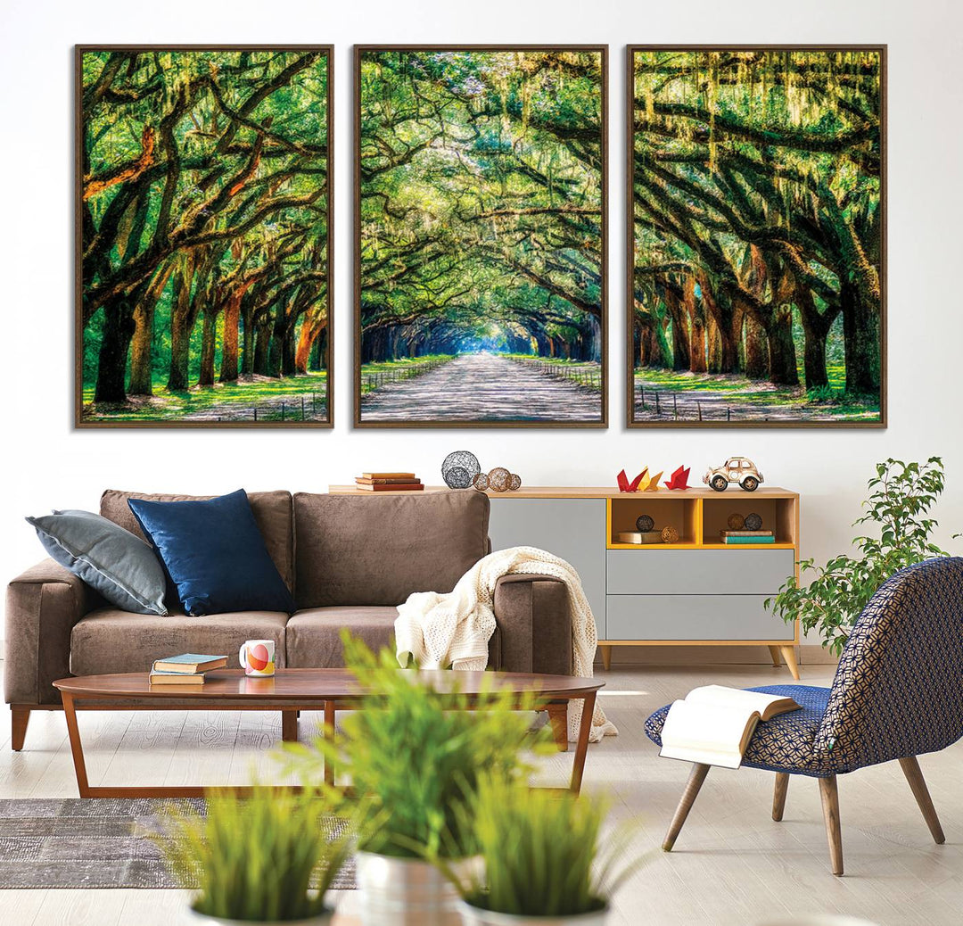 The Serene Tree Tunnel Canvas Print decorates the wall.