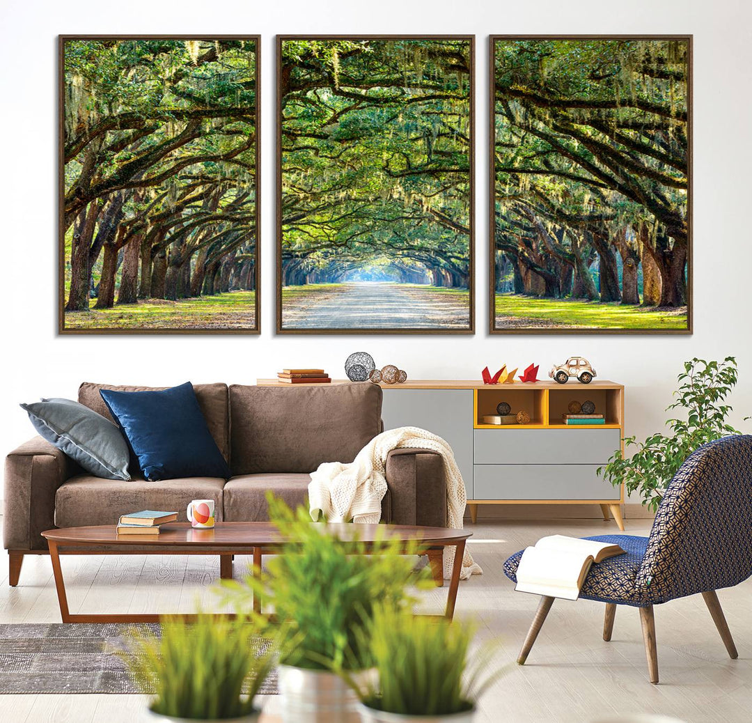 Wormsloe State Plantation Driveway Wall Art shines with Southern charm.