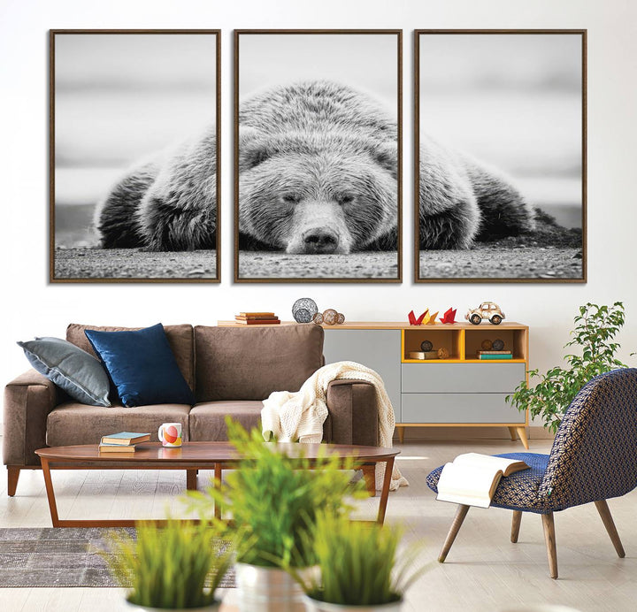 Resting Grizzly Bear wall art displayed in a modern room.