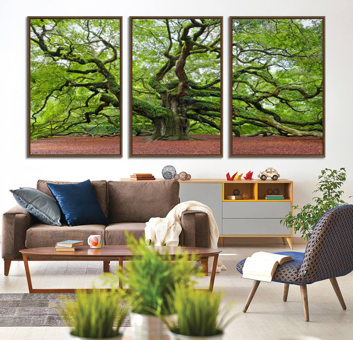 Framed Angel Oak Tree Wall Art: Large 3-panel green nature canvas, ready to hang.