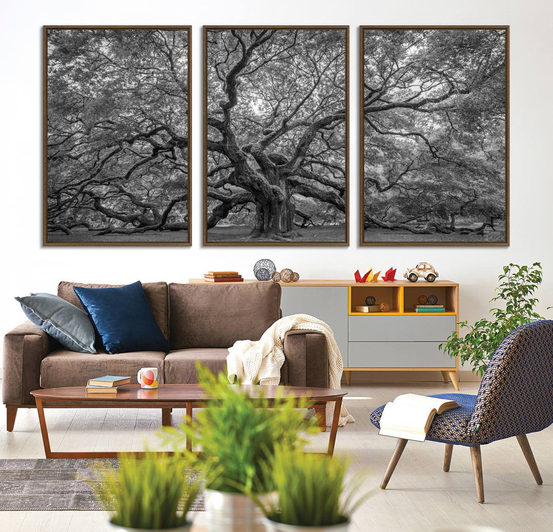 The Majestic Angel Oak Tree canvas print enhances minimalistic decor with its nature photography.