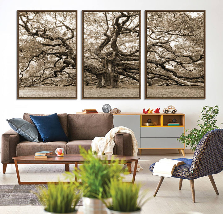 Displayed on the wall is a Sepia-framed Angel Oak Tree 3-panel canvas.